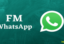 FM WhatsApp APK 2022